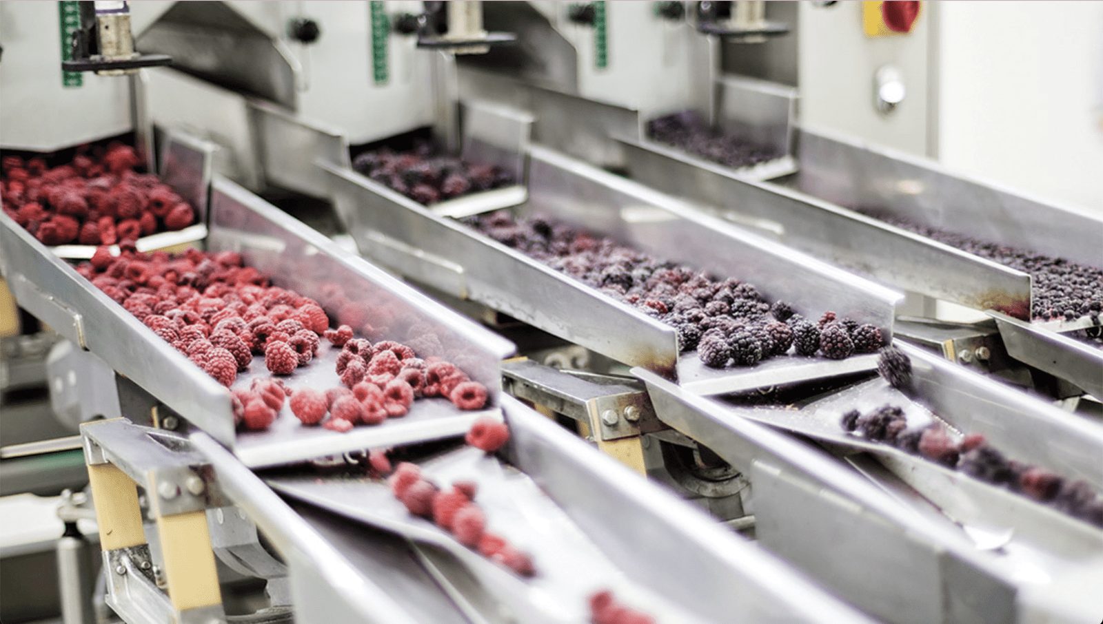 How Food-Grade Bearings Help You Meet Strict FDA and EU Regulations